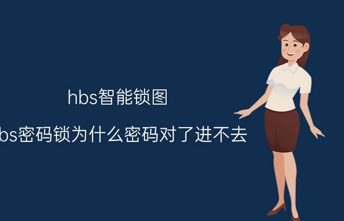 hbs智能锁图 hbs密码锁为什么密码对了进不去？